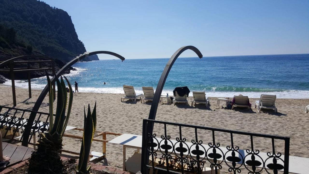 Lägenhetshotell Granada Luxury 800м от пляжа клеопатра *